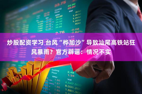 炒股配资学习 台风“桦加沙”导致汕尾高铁站狂风暴雨？官方辟谣：情况不实